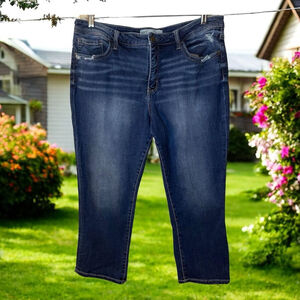 BKE Buckle Gabby Curvy Fit Original Rise Distressed 35” Waist